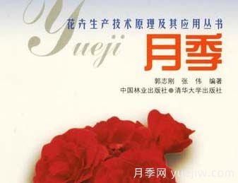 月季圖書(shū)：郭志剛《月季:花卉生產(chǎn)技術(shù)原理及其應(yīng)用叢書(shū) 》(圖1)