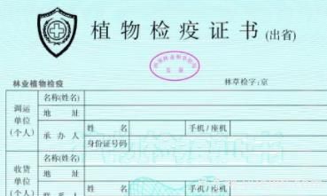 苗木三證一簽指的是什么？(圖1)