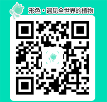 形色app，精準(zhǔn)辨別花卉識(shí)別植物(圖1)