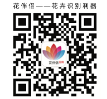 花伴侶app，花卉識別，花草樹木呈名(圖1)