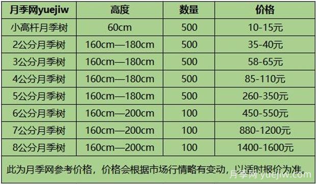 南陽月季樹苗圃_月季樹價(jià)格_月季樹多少錢一株(圖1)