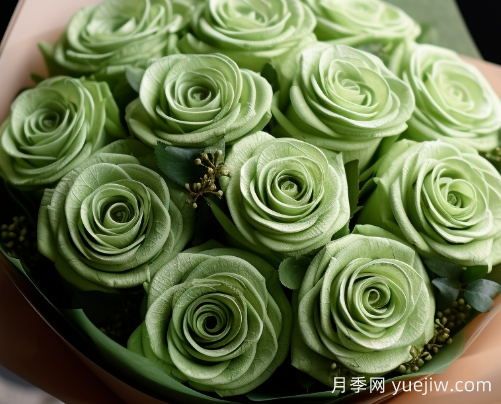 蘇格蘭復(fù)古綠玫瑰，綠色魅力的神秘詮釋(圖1)