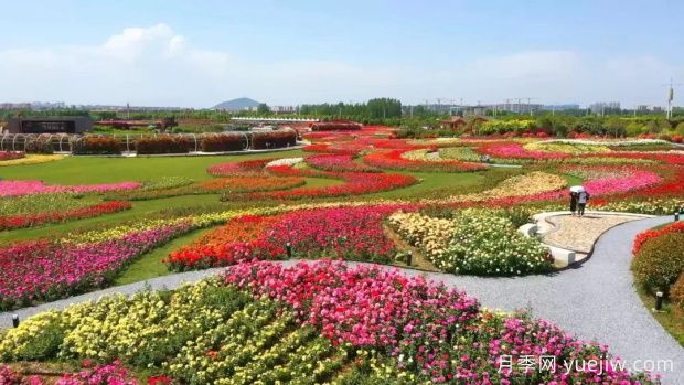 世界月季博覽會(huì)期間，南陽(yáng)推出多項(xiàng)文旅活動(dòng)及優(yōu)惠政策(圖1)