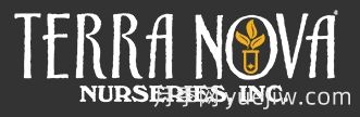 月季育種家：美國(guó)特拉諾瓦苗圃(Terra Nova)(圖1)