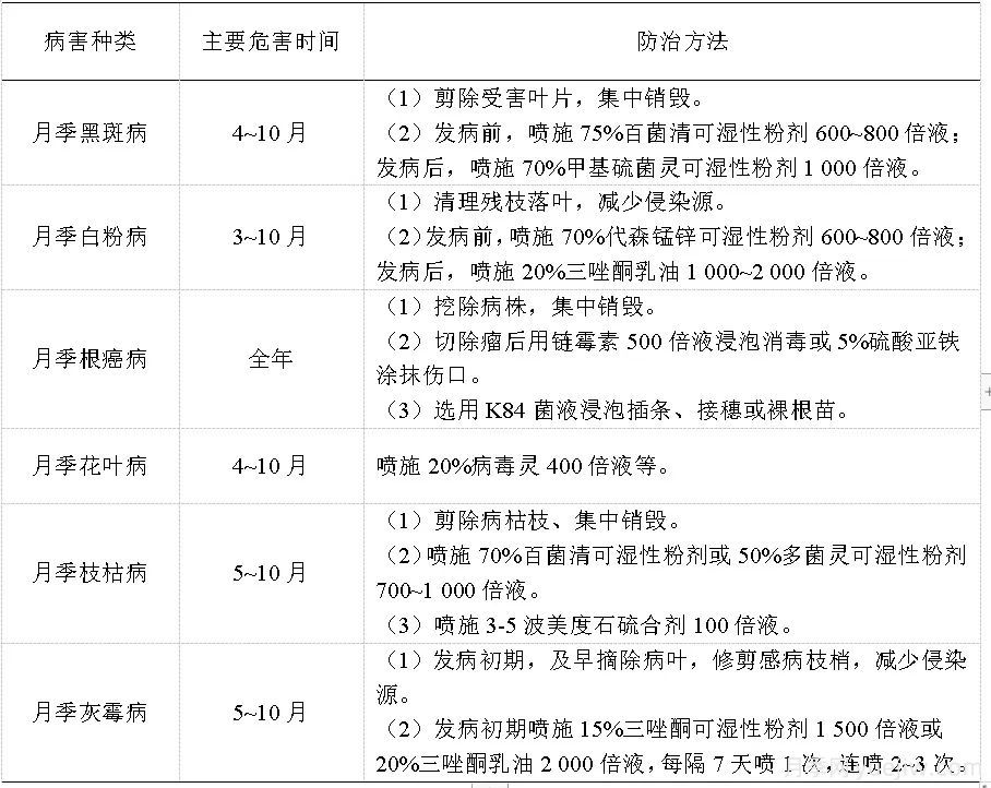 石家莊月季栽培養(yǎng)護技術(shù)規(guī)程(圖5)