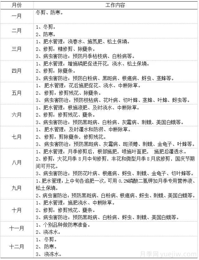 石家莊月季栽培養(yǎng)護技術(shù)規(guī)程(圖7)