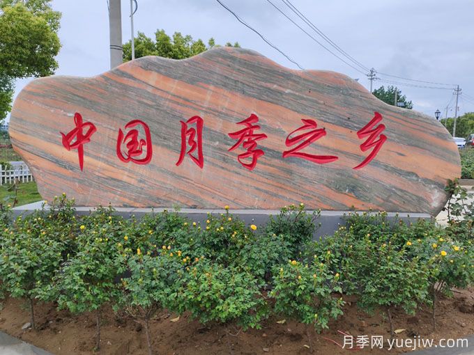 景石在項目中的應(yīng)用(圖3)