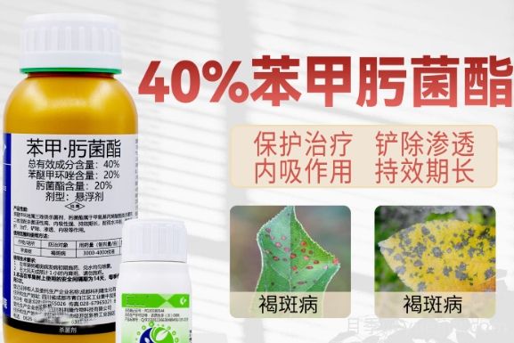月季打藥怎么配？稀釋很難嗎？(圖1)