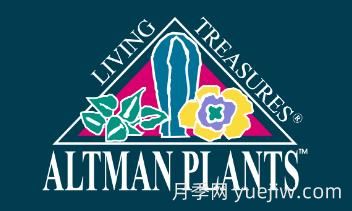 月季育種家：美國奧特曼園藝(Altman Plants)(圖1)