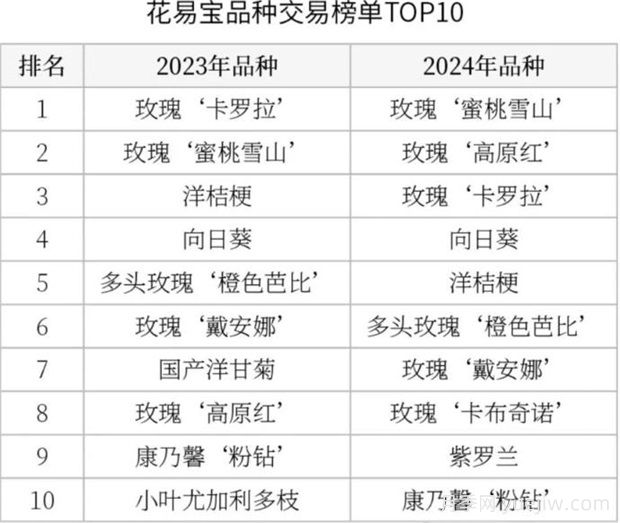 云南鮮切花產(chǎn)業(yè)，一起期待光明的到來(圖3)