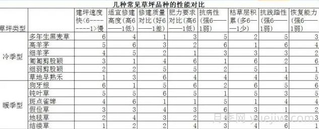草坪品種及性能對比，收藏學(xué)習(xí)(圖2)