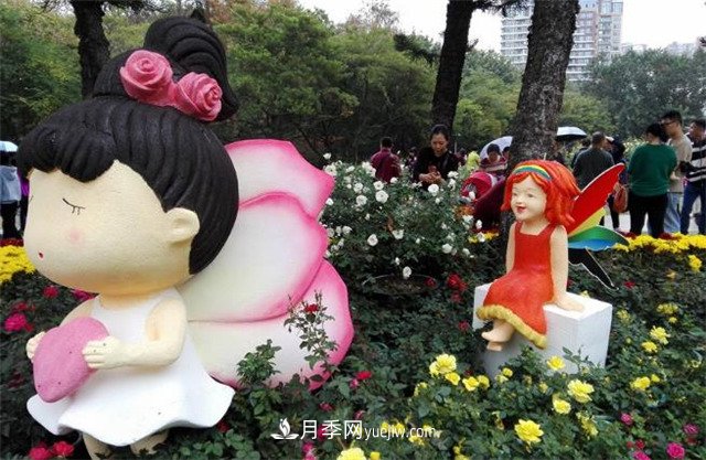 好多年沒(méi)到深圳人民公園看月季花展了，不知今年如何(圖4)