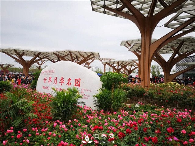 南陽月季大觀園位置在哪里？怎么走？票價(jià)多少？(圖1)