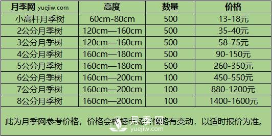 3-4公分月季樹報(bào)價(jià)，3-4公分高桿月季報(bào)價(jià)！(圖3)