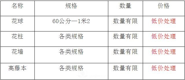 清地在即，部分造型月季品類月季價(jià)格短時(shí)間走低(圖1)