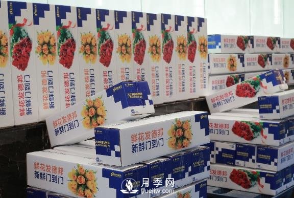 情人節(jié)春節(jié)相遇，德邦快遞＂春節(jié)不休＂滿足鮮花運(yùn)輸旺盛需求(圖1)