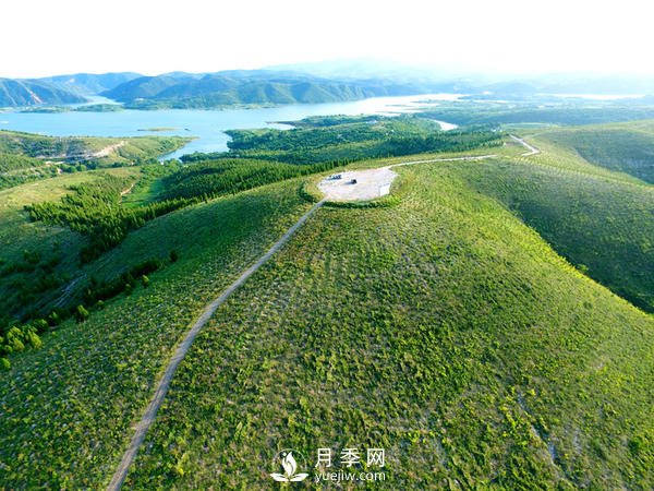 河南石漠化土地集中在南陽，淅川石漠化面積占南陽85%(圖1)