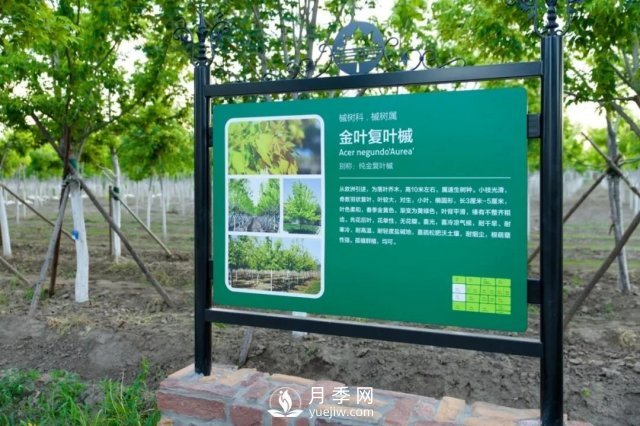 28項(xiàng)行業(yè)標(biāo)準(zhǔn)，198項(xiàng)地方標(biāo)準(zhǔn)，助推北京園林綠化高質(zhì)量發(fā)展(圖4)