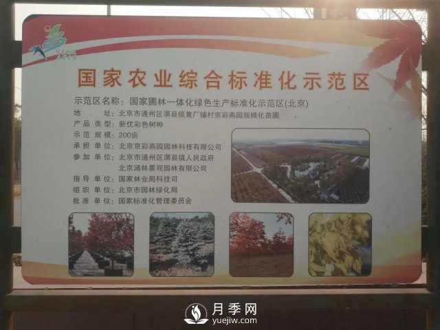 28項(xiàng)行業(yè)標(biāo)準(zhǔn)，198項(xiàng)地方標(biāo)準(zhǔn)，助推北京園林綠化高質(zhì)量發(fā)展(圖2)