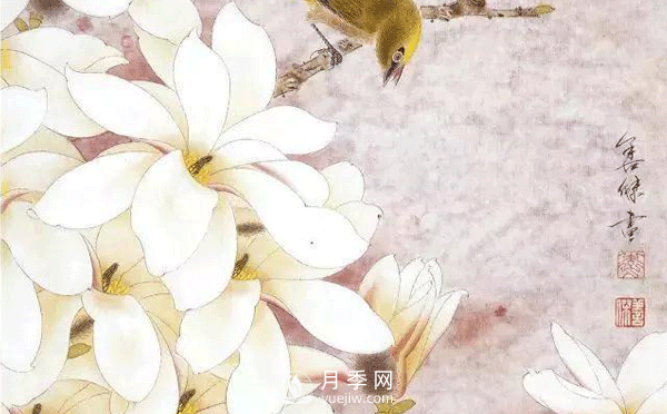 怎樣畫白玉蘭工筆畫，白玉蘭工筆畫詳細(xì)步驟(圖1)