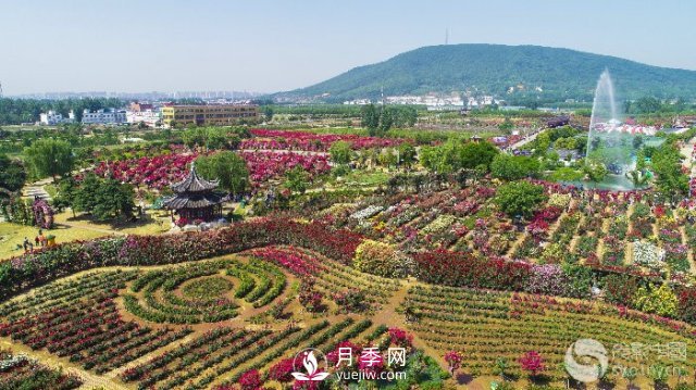 解讀南陽(yáng)三水三山，助力綠色生態(tài)發(fā)展(圖2)
