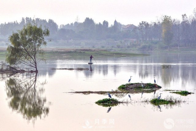 解讀南陽(yáng)三水三山，助力綠色生態(tài)發(fā)展(圖5)