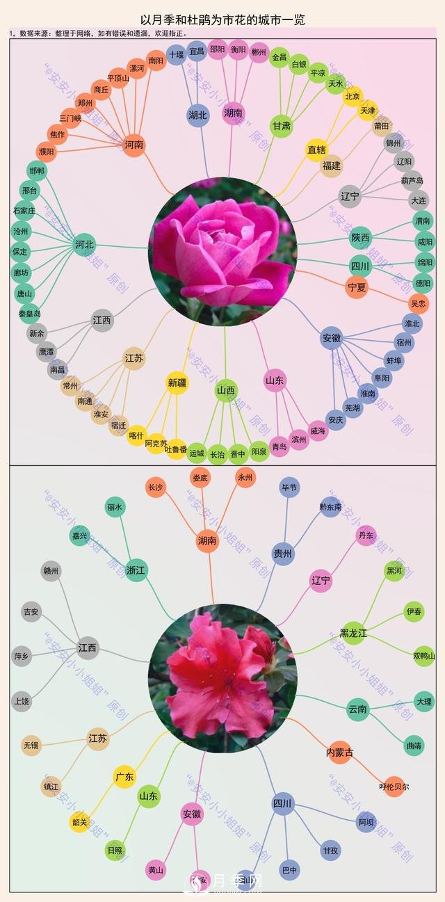 市樹市花地圖：月季、杜鵑、香樟、國槐(圖1)