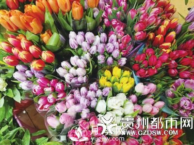 貴陽近期鮮花漲價(jià) 玫瑰花賣到70元一把(圖1)