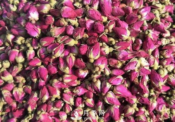 贈(zèng)人玫瑰，手有余香，怎么看待平陰玫瑰(圖1)