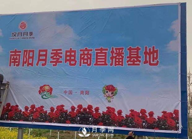 南陽月季電商基地3月18號(hào)開播儀式啟動(dòng)(圖2)