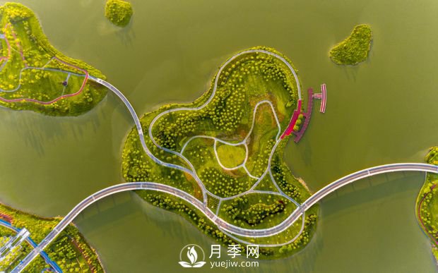 廣東肇慶硯陽(yáng)湖景區(qū)月季島景觀(圖3)