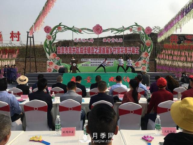 四川自貢月季花海盛放迎客 百萬(wàn)株月季吸引近萬(wàn)市民打卡(圖2)