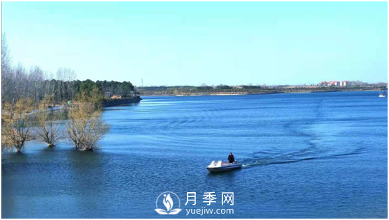 南陽(yáng)驚蟄時(shí)節(jié)，花紅柳綠又一春(圖4)