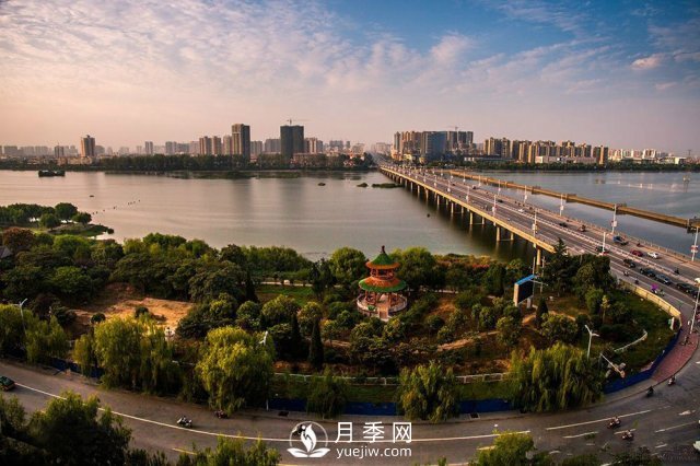 南陽(yáng)50強(qiáng)企業(yè)名單：牧原食品第2，仲景宛西第8(圖1)