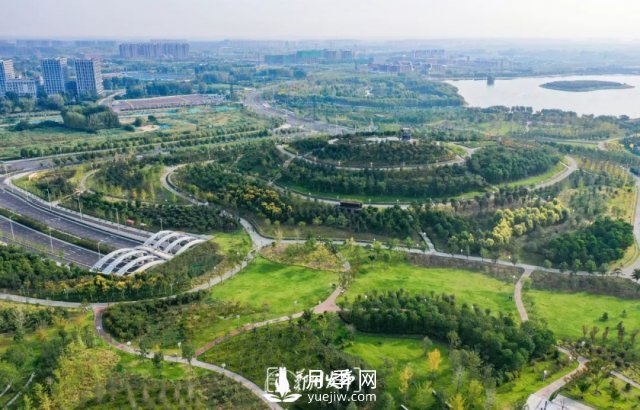 3.13萬畝！2021年鄭州綠化目之所及皆是綠(圖3)
