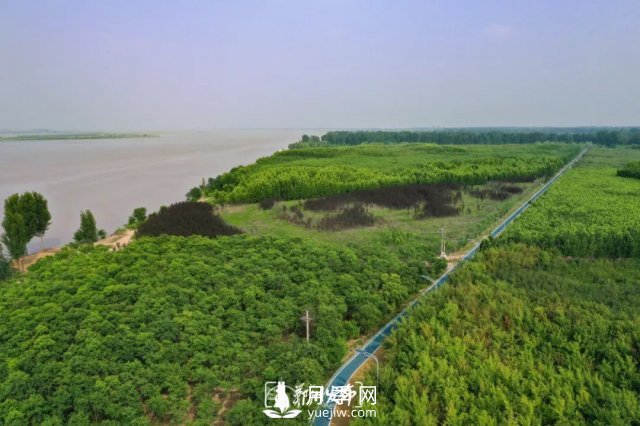 3.13萬畝！2021年鄭州綠化目之所及皆是綠(圖4)