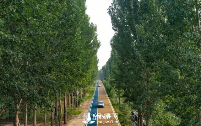 3.13萬畝！2021年鄭州綠化目之所及皆是綠(圖2)