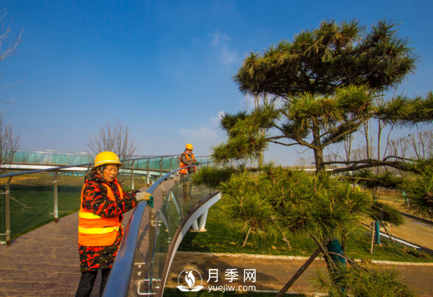 河南南陽(yáng)：扮亮世界月季大觀園 喜迎世界月季博覽會(huì)(圖3)