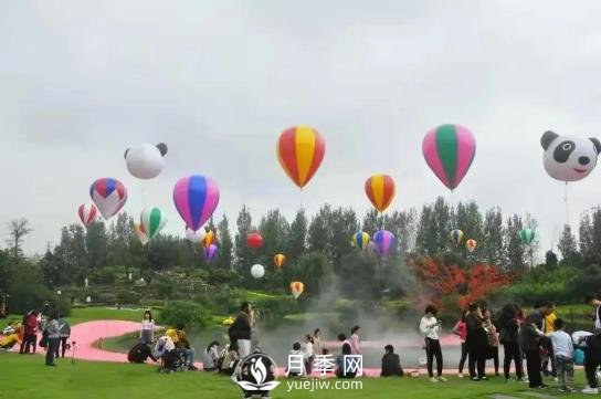 四川南充月季花海迎來(lái)1000㎡粉色沙灘，4月3日浪漫迎客(圖8)