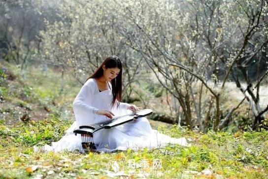 四川南充月季花海迎來(lái)1000㎡粉色沙灘，4月3日浪漫迎客(圖9)