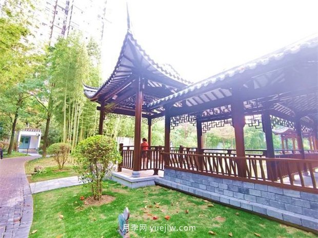 福州茶亭公園月季花開，芬芳美爆！(圖10)