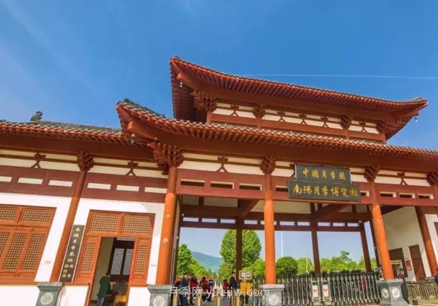 中國月季園千畝月季花開，南陽月季人間仙境打卡圣地(圖2)
