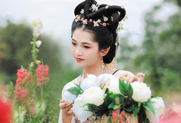 中國月季園千畝月季花開，南陽月季人間仙境打卡圣地(圖5)