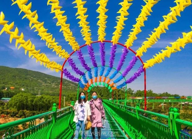 中國月季園千畝月季花開，南陽月季人間仙境打卡圣地(圖7)