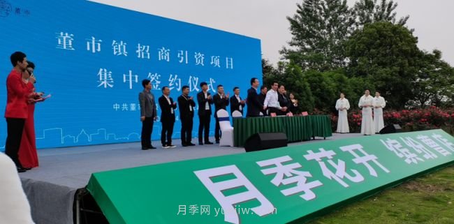 宜昌枝江：曹店月季花節(jié)開幕，招客商促鄉(xiāng)村振興(圖1)