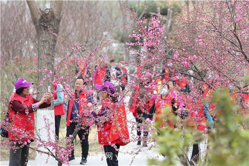 北京大興區(qū)“走進(jìn)魏善莊 相約月季花開(kāi)”徒步活動(dòng)成功舉辦(圖3)