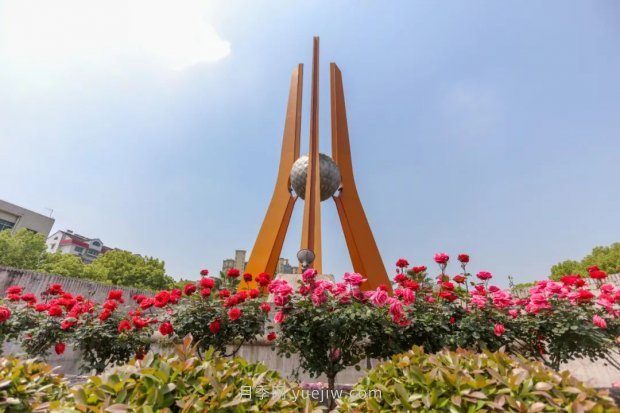 四月盛放的月季時間，湖北宜昌給你的專屬浪漫花園(圖3)