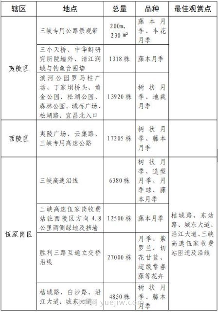 四月盛放的月季時間，湖北宜昌給你的專屬浪漫花園(圖9)