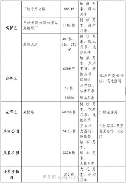 四月盛放的月季時間，湖北宜昌給你的專屬浪漫花園(圖10)