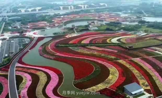 第十二屆南陽月季花會4月29日開幕，花事活動提前報(圖1)